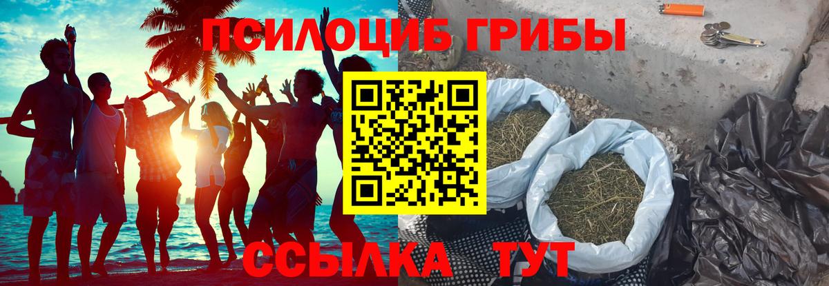 Псилоцибиновые грибы мухоморы  Вход с VPN  Псилоцибиновые грибы Psilocybe  Бахчисарай 