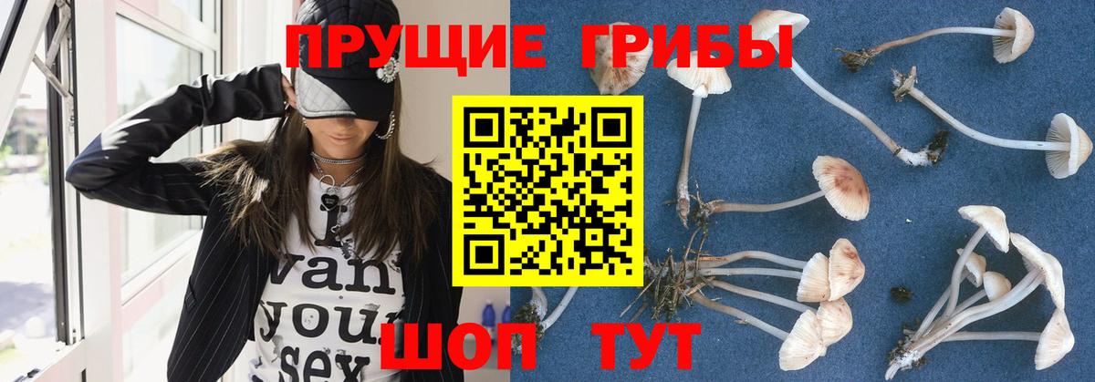 Псилоцибиновые грибы прущие грибы Бахчисарай